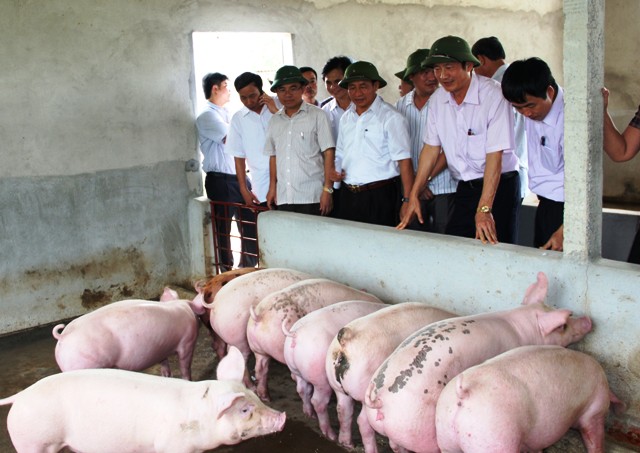 Phó Chủ tịch UBND tỉnh Lê Đình Sơn kiểm tra mô hình tại hộ Nguyễn Hữu Mạnh, thôn Làng Hội, xã Phú Lộc