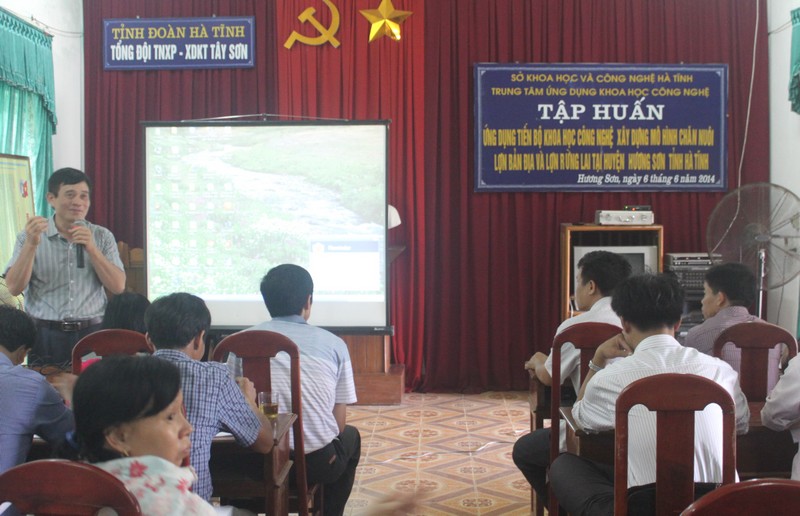 Tập huấn kỹ thuật chăn nuôi lợn bản địa và lợn rừng lai.