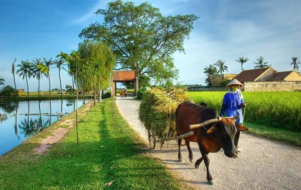 Đồng Nai: Thêm 6 xã đạt chuẩn