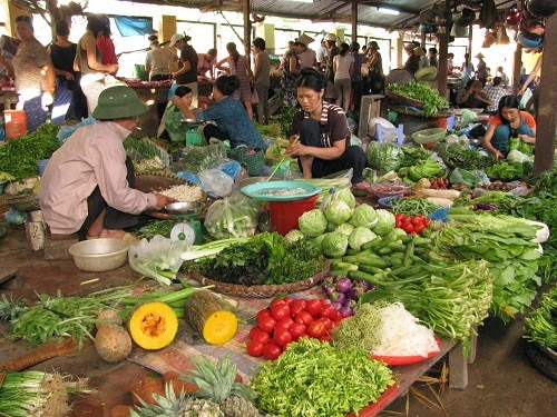 Rau xanh “đủng đỉnh” giảm giá