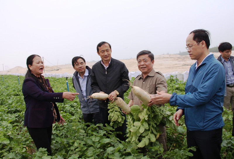 Gieo màu xanh trên đất chết