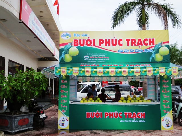 Doanh nghiệp tư nhân Tân Thanh Phong