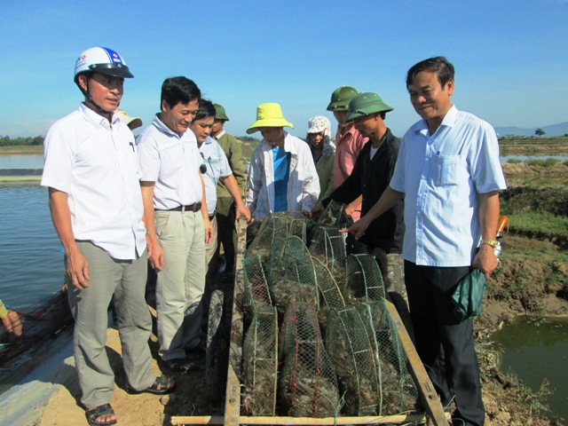 MÔ HÌNH NUÔI TÔM THẺ CHÂN TRẮNG TRONG AO ĐẤT LÓT BẠT-NGUYỄN VĂN HÒA