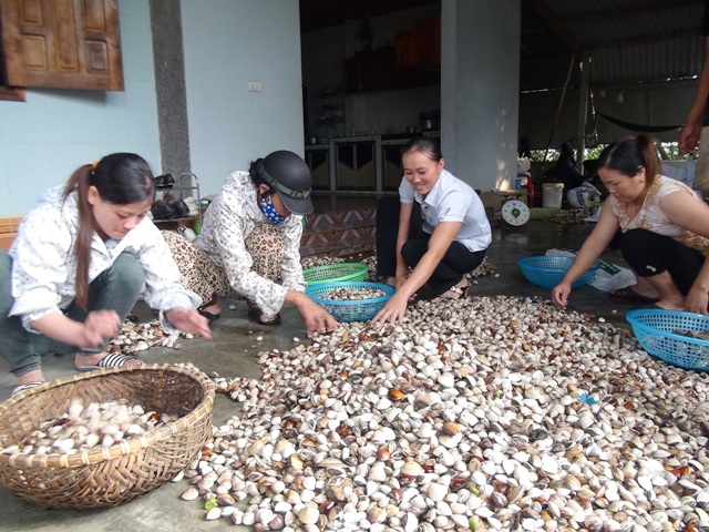 MÔ HÌNH THỦY SẢN TỔNG HỢP
