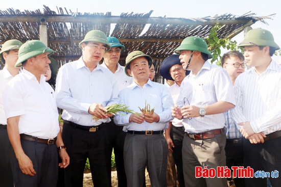 Hà Tĩnh cần nhân rộng các mô hình nông, ngư nghiệp công nghệ cao