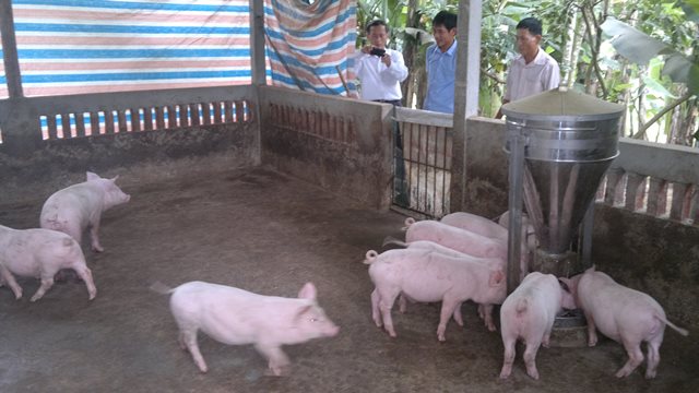 Nguyễn Trọng Giảng vượt khó làm giàu
