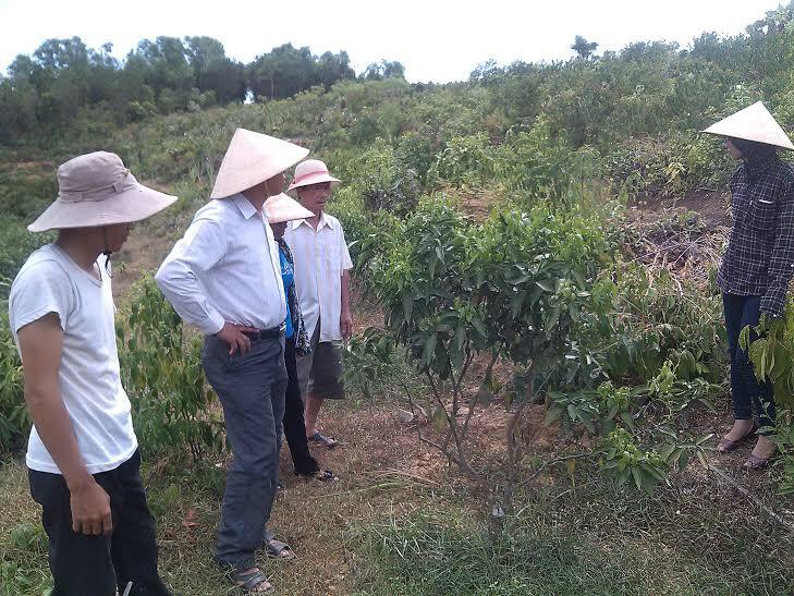 Vũ Quang: Khảo sát mô hình lắp đặt hệ thống tưới tự động