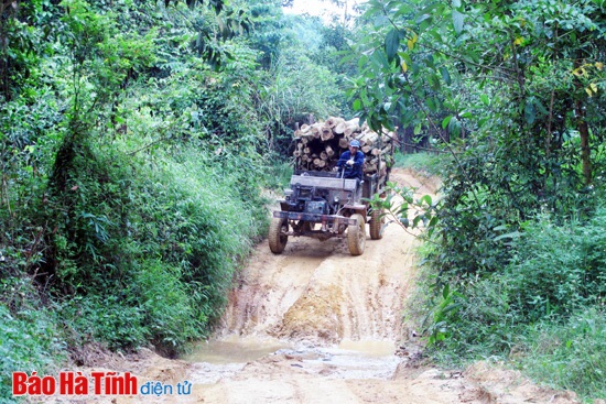 Lãng phí, hiệu quả thấp trong sử dụng đất lâm nghiệp!