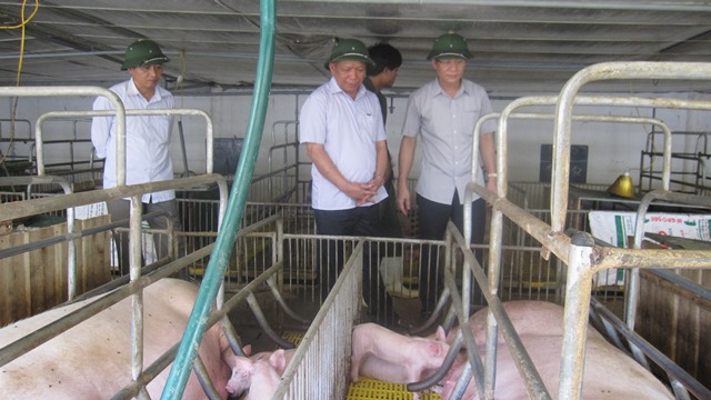 Bí thư, Chủ tịch huyện kiểm tra mô hình phát triển kinh tế