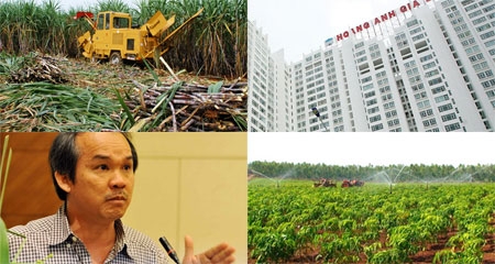 Bầu Đức: Cao ốc "hút" đại gia, nông nghiệp lên sàn