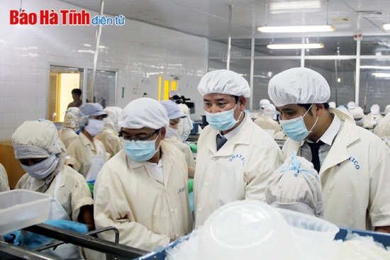 Thị xã Kỳ Anh - Hàn Quốc hợp tác chế biến thủy sản, súc sản xuất khẩu