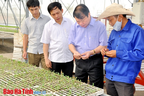 Hội Nông dân Việt Nam đánh giá cao tiềm năng nông nghiệp Hà Tĩnh