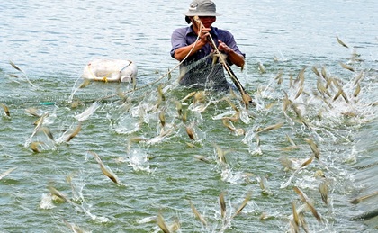 Nguồn internet
