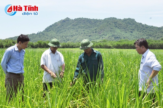 Những người “truyền lửa” xây dựng nông thôn mới