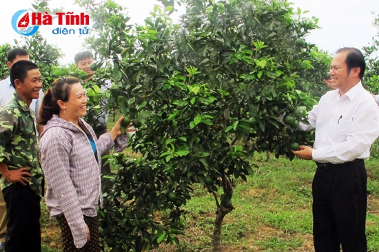 Các đoàn tham quan, học hỏi mô hình kinh tế của xã đội trưởng Trần Đăng Tuấn.