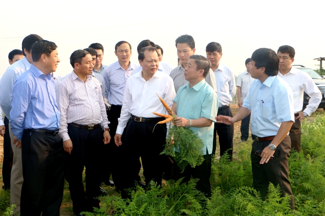 Hà Tĩnh Sức bật từ xây dựng nông thôn mới