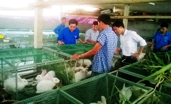 Vũ Quang: Tổ chức tham quan, học tập mô hình cho các cán bộ Đoàn chủ chốt
