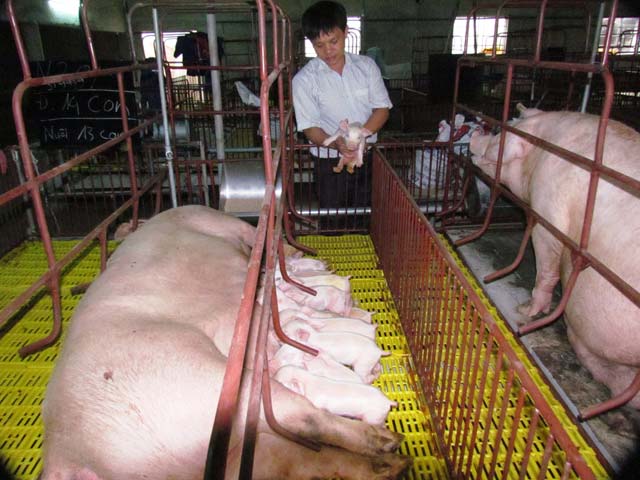 Xây dựng nông thôn mới ở Hà Tĩnh: Tìm cách giảm áp lực đóng góp cho dân