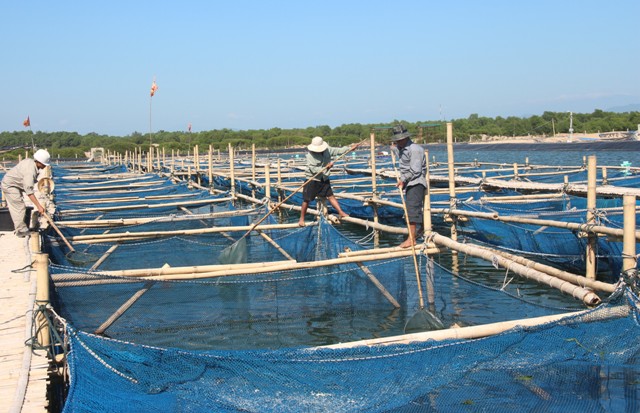 Nhân rộng mô hình sản xuất kinh doanh trong xây dựng NTM