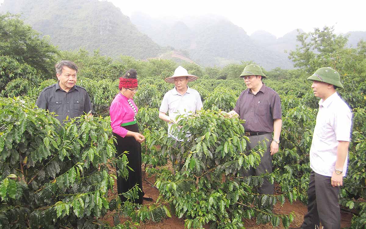 Xây dựng nông thôn mới vì sự phát triển của Sơn La