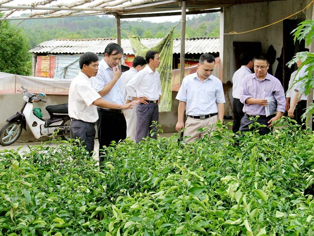 Giám sát vật tư nông nghiệp: Băn khoăn chế tài xử lý chưa đủ mạnh