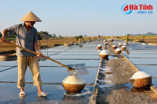 Vụ muối 2015: Lại mất mùa, rớt giá !