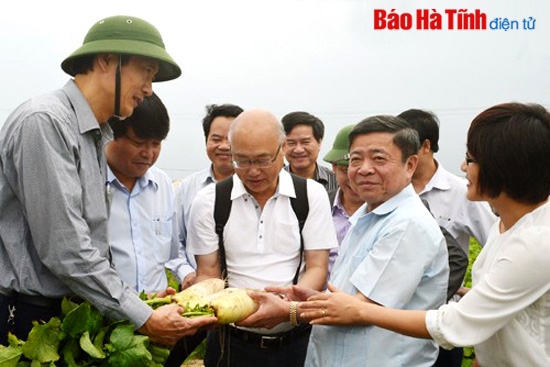 Hà Tĩnh 10 dấu ấn nổi bật nông thôn mới