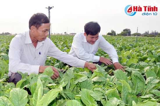 Mô hình nông thôn mới - Bền vững từ lòng dân