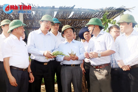Bức tranh toàn diện về kinh tế, xã hội - điểm tựa của vị thế và niềm tin