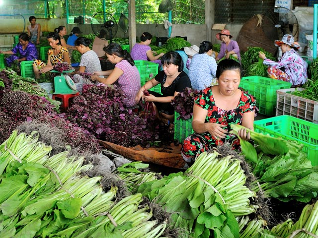Ngọn cờ đầu xây dựng nông thôn mới