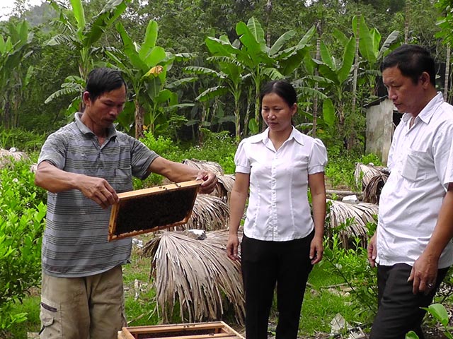 Đói giáp hạt, nông dân nghèo nghĩ cách vươn lên thành triệu phú