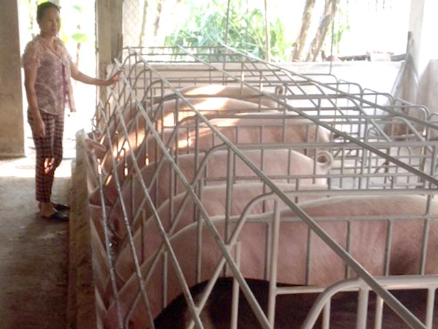 Bổ sung “3 cái thiếu” cho nông dân