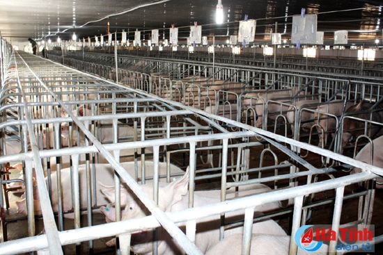 Tổ Tư vấn xây dựng NTM - “Bà đỡ mát tay”
