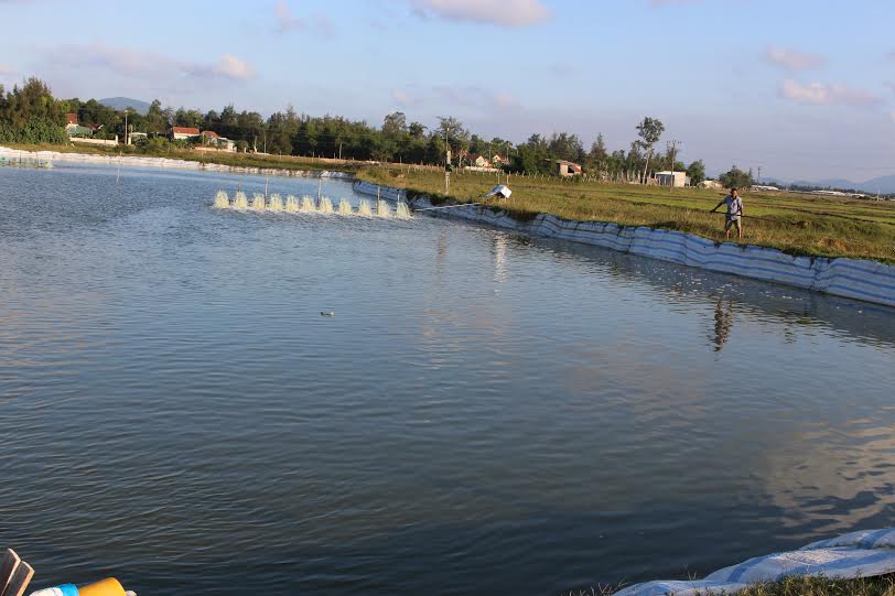 Xã Cẩm Phúc (Hà Tĩnh): Sau 5 năm Xây dựng Nông thôn mới một chặng đường, ngàn bước tiến