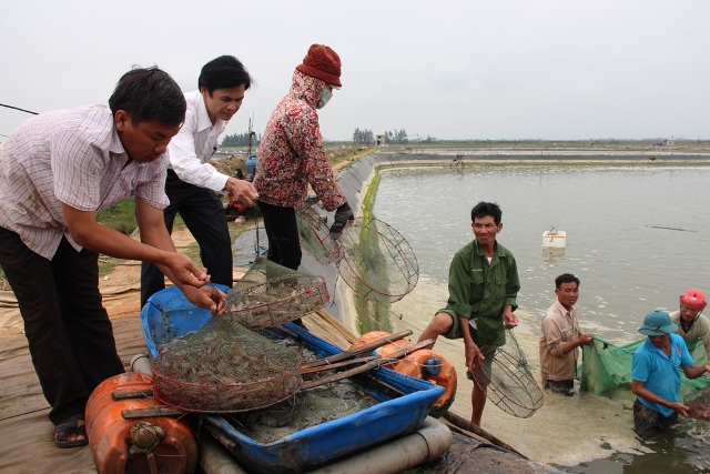 Đ/c Trần Huy Oánh - Phó Giám đốc Sở Nông nghiệp và PTNT, Phó Chánh Văn phòng Thường trực VPĐP NTM tỉnh kiểm tra mô hình nuôi tôm tại HTX Diêm Hải