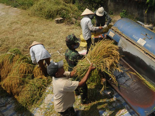 Vì sao phải tái cơ cấu nông nghiệp?