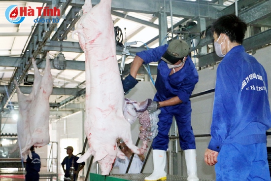 Cung cấp sản phẩm “sạch” cho người tiêu dùng