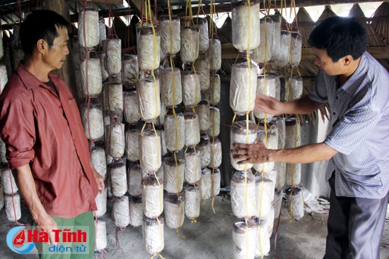 Cơ hội thoát nghèo từ nghề trồng nấm