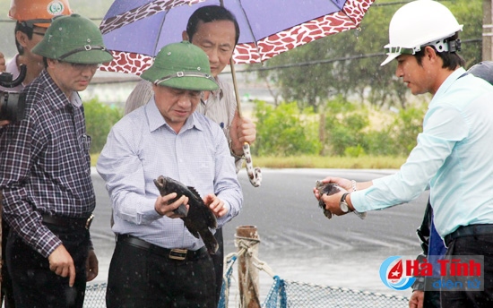 Bí Thư Tỉnh ủy - Chủ tịch UBND tỉnh Lê Đình Sơn: Bước đầu có thể khẳng định việc nuôi cá mú trên nền đất cát. Để mang lại hiệu quả về kinh tế, ngành chuyên môn và Công ty TNHH Fineton cần đánh giá khoa học để xác định thời điểm xuất bán cá