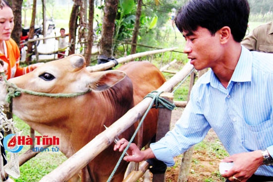 Tiêm vắc-xin là một trong những biện pháp hữu hiệu phòng chống dịch bệnh cho gia súc, gia cầm.