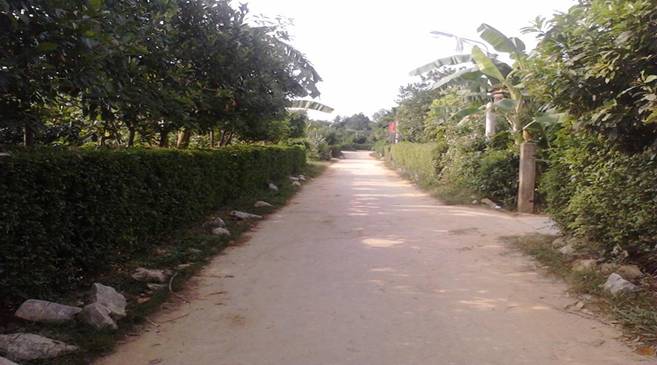 Một góc đường làng thôn Hải Thịnh