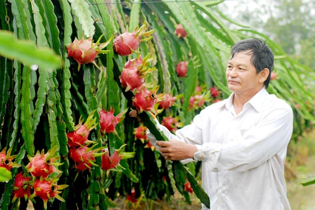 Xây dựng NTM: Không chạy theo thành tích