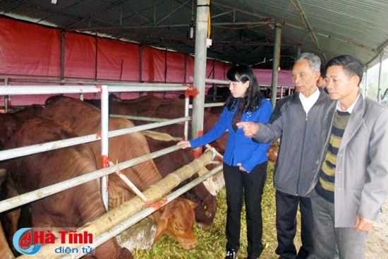 Bàn giao bê giống chất lượng cao cho nông dân Thạch Hạ
