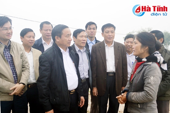 Tập trung chỉ đạo mở rộng sản xuất rau - củ - quả đạt kế hoạch đề ra