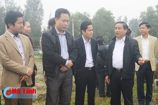 Tập trung chỉ đạo mở rộng sản xuất rau - củ - quả đạt kế hoạch đề ra