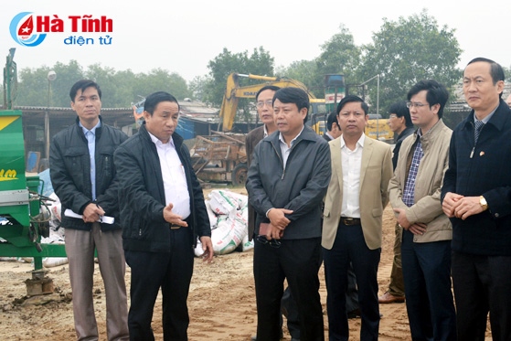 Tập trung chỉ đạo mở rộng sản xuất rau - củ - quả đạt kế hoạch đề ra