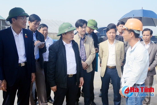 Tập trung chỉ đạo mở rộng sản xuất rau - củ - quả đạt kế hoạch đề ra