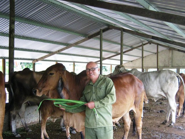 NHÀ NÔNG Có nhà lầu, ô tô nhờ 10 năm nuôi bò