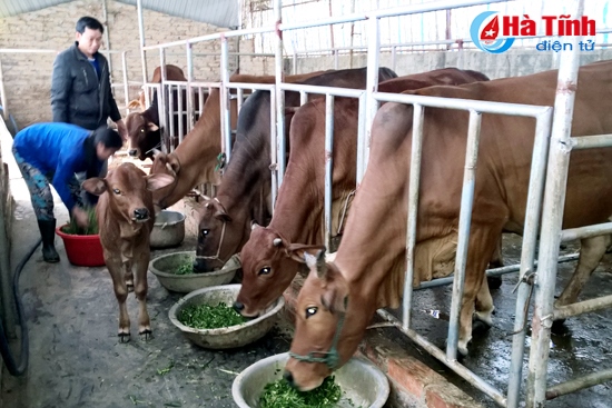Người tổ trưởng năng động, nhiệt huyết