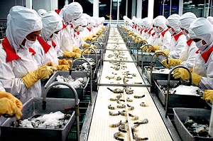 Thủy sản trước hội nhập: Nhiều cơ hội, lắm gian nan
